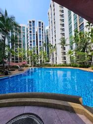 East Meadows (D16), Condominium #628848111